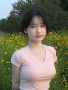 严沉违的组织规律、清廉规律、工做规律和糊口